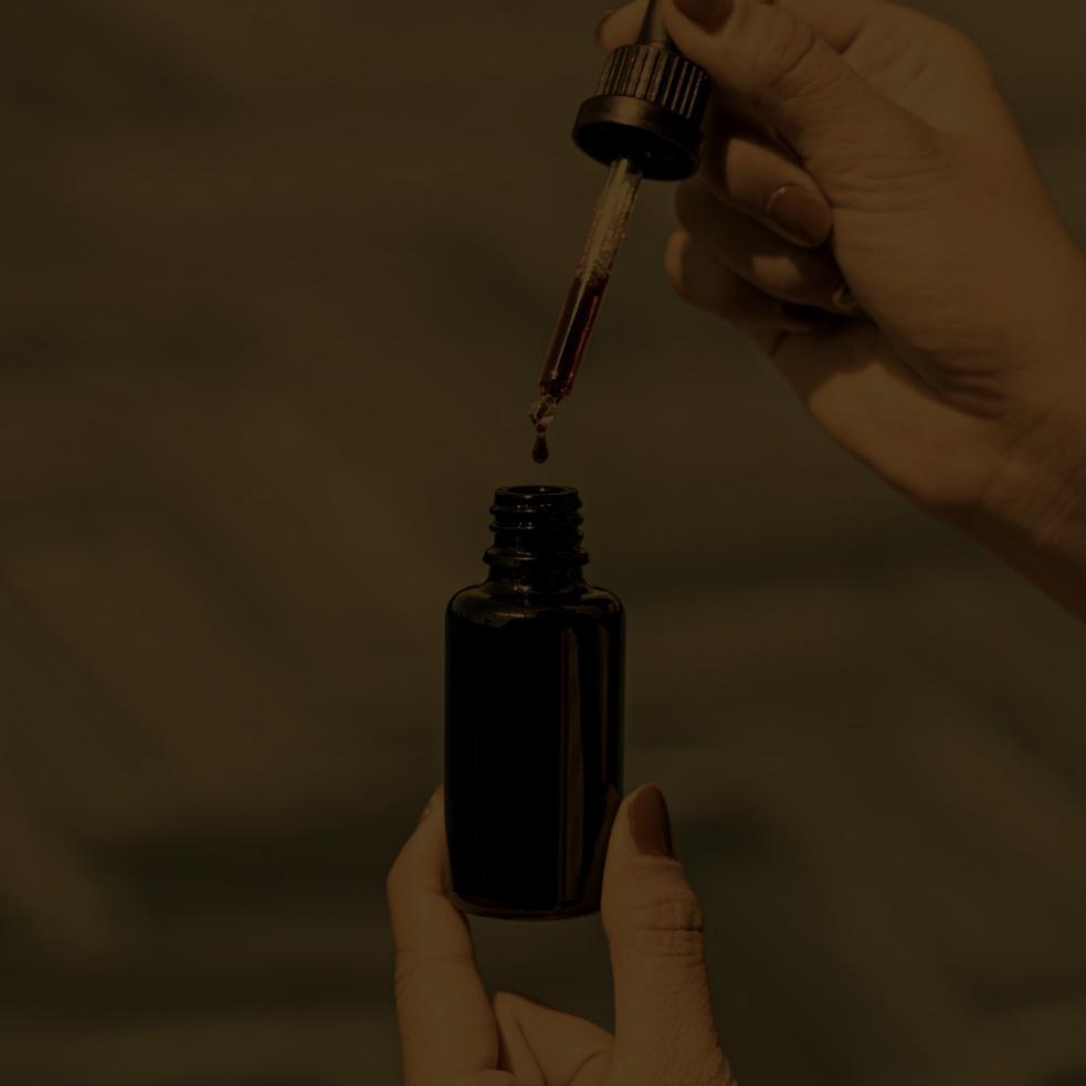 عود كمبودي — 3